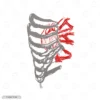 Human Skeleton Embroidery Sweatshirt
