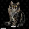Realistc Maine Coon Cat Embroidery Design Realistic Maine Coon Cat Embroidery T-Shirt