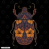 Floral Beetle Embroidery T-Shirt